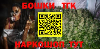 мдпв Жуковский