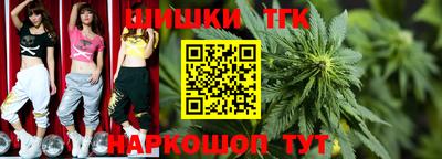мдпв Жуковский
