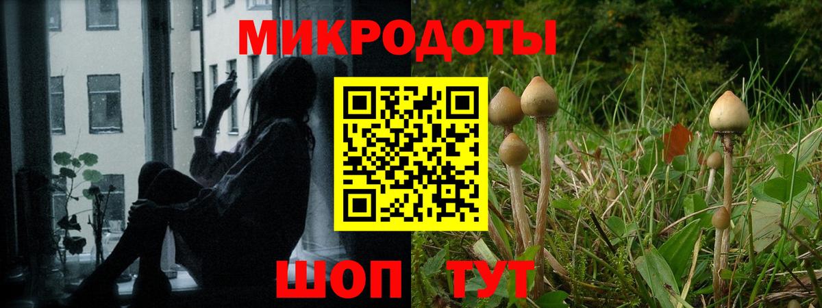 Галлюциногенные грибы Psilocybine cubensis Люберцы