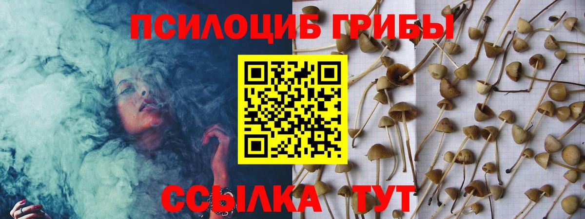 Псилоцибиновые грибы прущие грибы  Вход с VPN  Люберцы  Галлюциногенные грибы Cubensis 